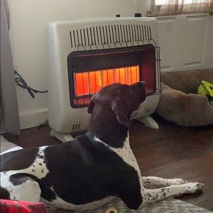 Meet your Posher, Dawn